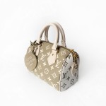 Louis Vuitton Speedy Bandoulière 20